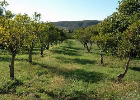 Farm stay Quinta Do